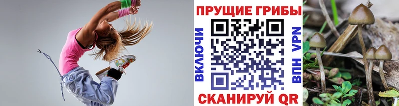 Купить где  Белозерск  Псилоцибиновые грибы MAGIC MUSHROOMS 